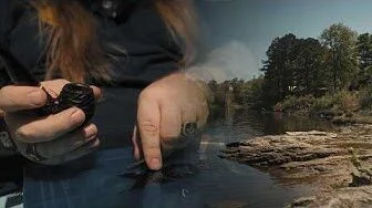 I Smoked a Pipe While Fishing… Here’s What Happened